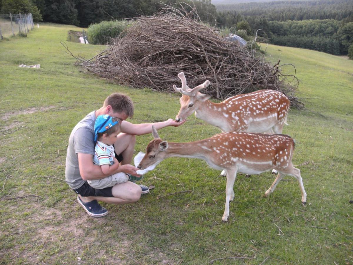 Ferienhaeuser Zur Schaeferei Mitwitz Dış mekan fotoğraf