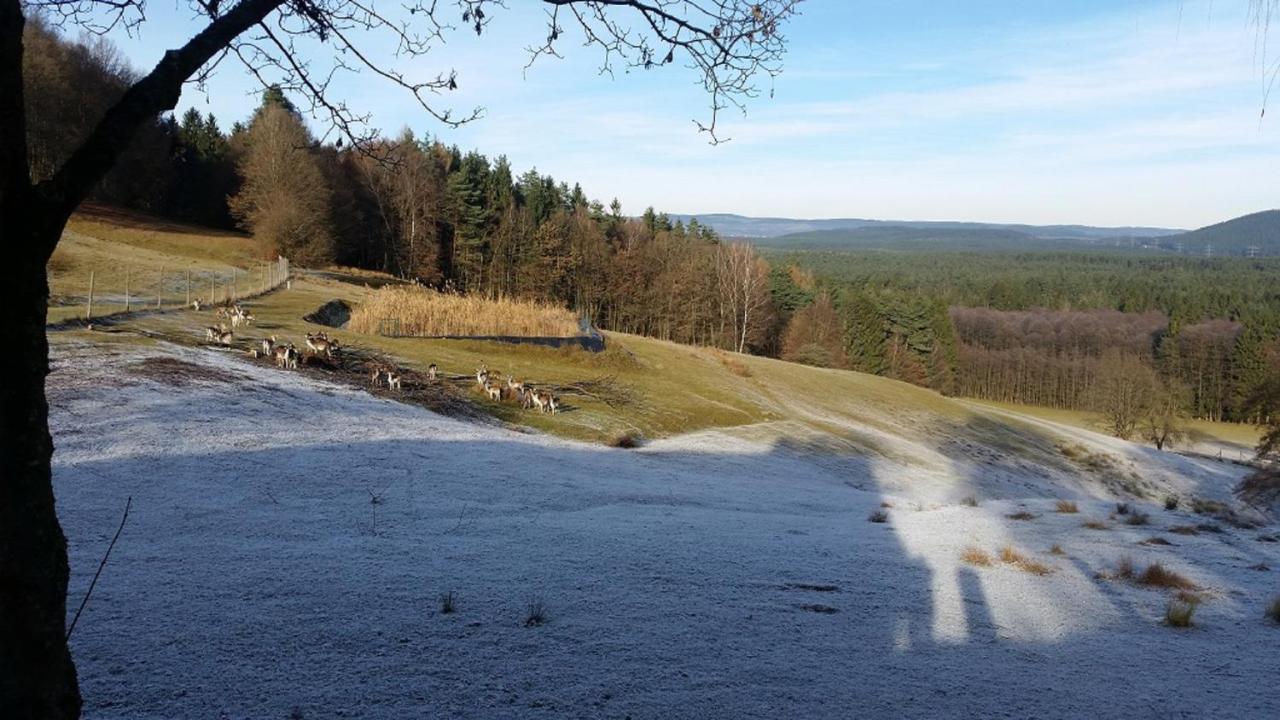Ferienhaeuser Zur Schaeferei Mitwitz Dış mekan fotoğraf