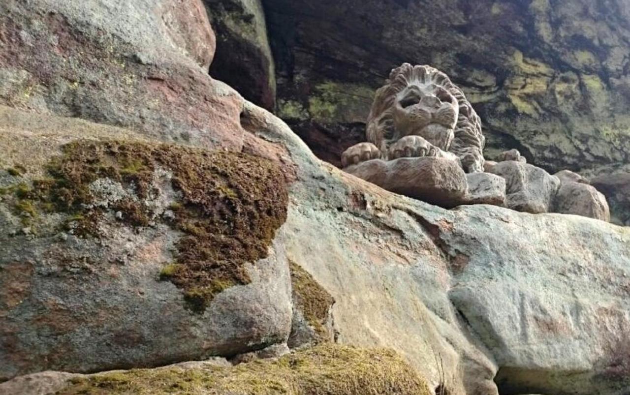 Ferienhaeuser Zur Schaeferei Mitwitz Dış mekan fotoğraf
