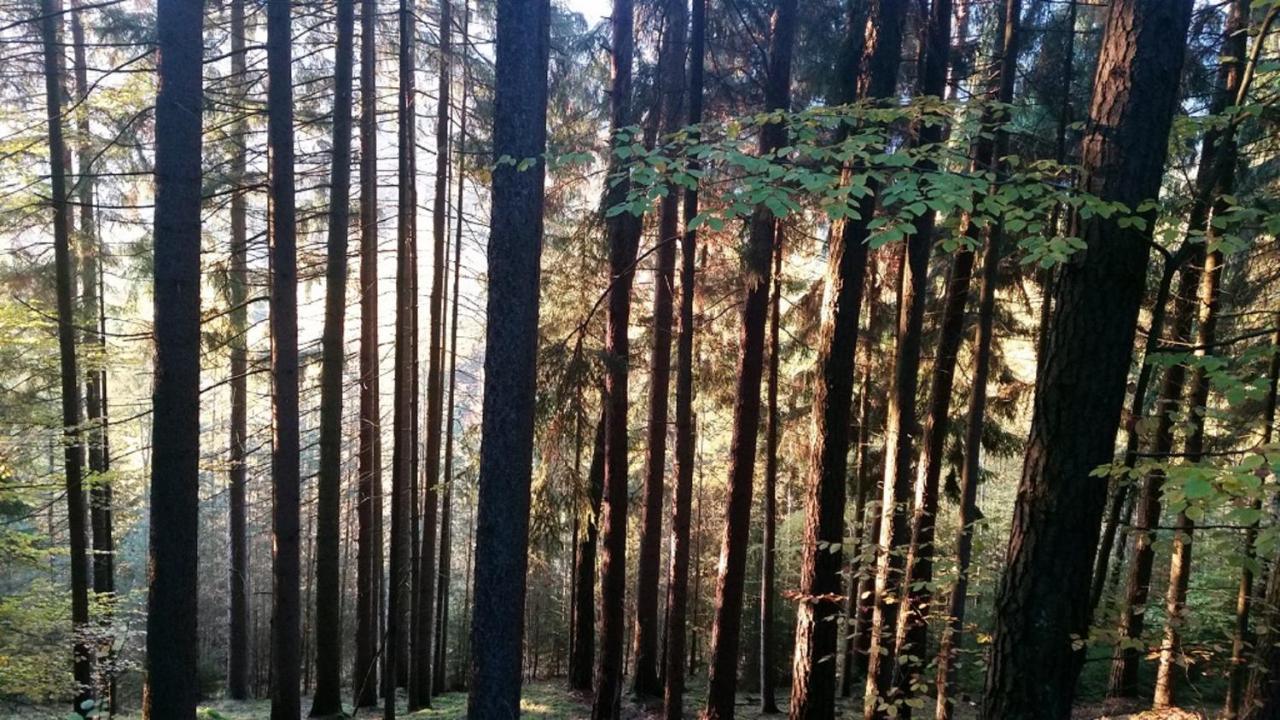 Ferienhaeuser Zur Schaeferei Mitwitz Dış mekan fotoğraf